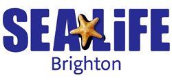 SEA LIFE Brighton - SEA LIFE Brighton - Huge savings for Teachers
