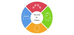 The Circle of Lifestyle - The Circle of Lifestyle - 25% Teachers discount
