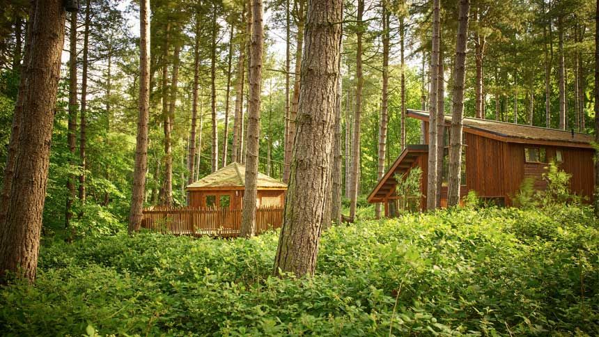 UK Forest Holiday Lodge Breaks - Up to 15% off for Teachers